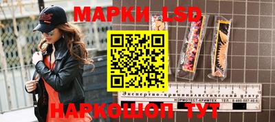 стаф Камышлов