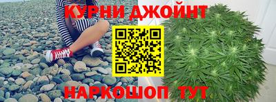 стаф Камышлов