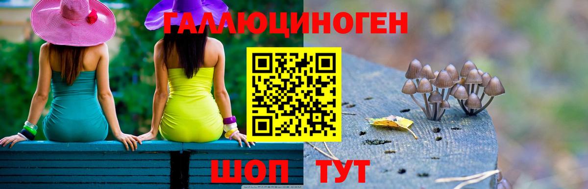 Галлюциногенные грибы мицелий  Вход с VPN  Галлюциногенные грибы ЛСД  Красный Сулин 